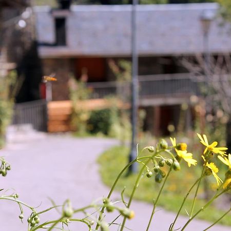 Apartaments Turistics Vilaro Llorts Εξωτερικό φωτογραφία