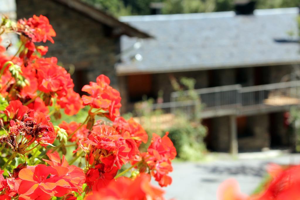 Apartaments Turistics Vilaro Llorts Εξωτερικό φωτογραφία